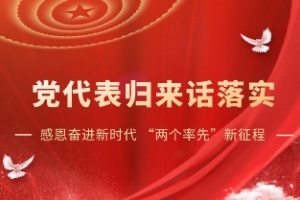 【感恩奋进新时代 “两个率先”新征程·党代表归来话落实】持续引领全球玻纤行业发展，打造中国玻纤及复合材料行业典范